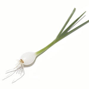 Cebolla baby