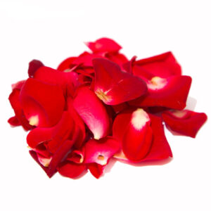 flor-petalos-rosas